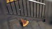 Rata neoyorquina baja pizza por escaleras del metro