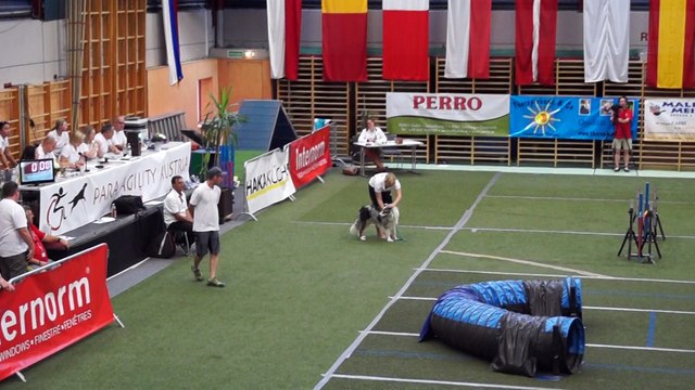 Agility Weltmeisterschaft Jumping Indira