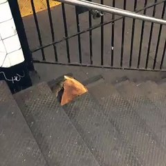 New York City rat taking pizza home on the subway