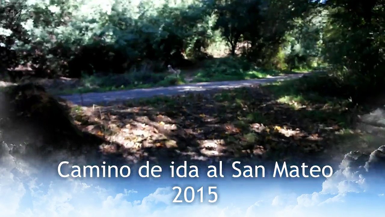 Camino de ida a la romeria de San Mateo 2015