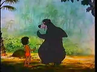 Le livre de la jungle pour etre heureux