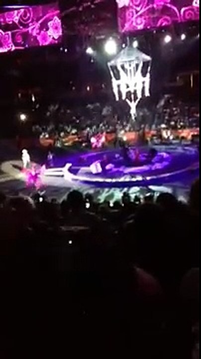 Neuf acrobates dont une chute pendant un numéro de cirque