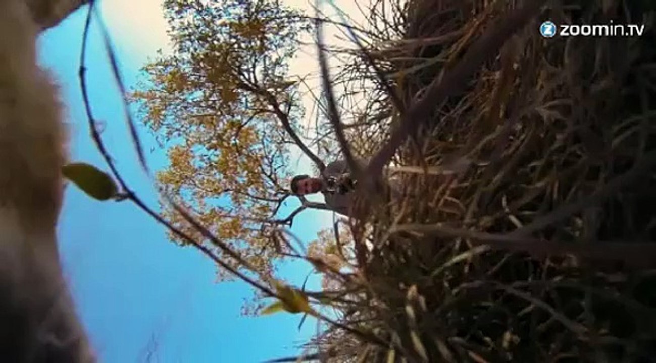 L'homme qui murmurait à l'oreille des lions!