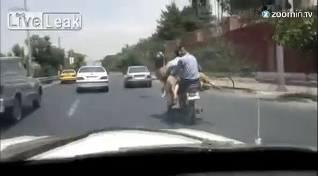 Deux moutons font de la moto