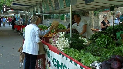 La salade verte, un nid à pesticides