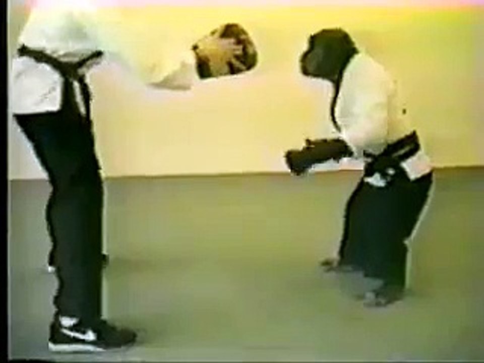 Un singe fait du kung-fu et il est fort