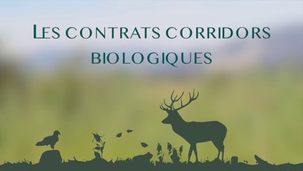 La mise en place des Contrats Corridors Biologiques au sein du Grand-Genève