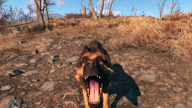 Fallout 4 : Behind the scenes avec Dogmeat