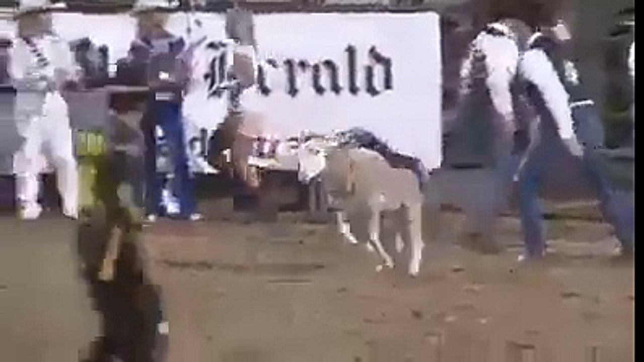 Funny Accident In The World