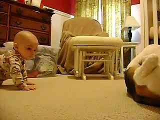 下载视频: Un bébé et un beagle jouent ensemble... Trop adorable