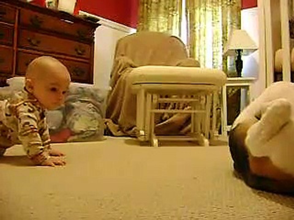 Un bébé et un beagle jouent ensemble... Trop adorable