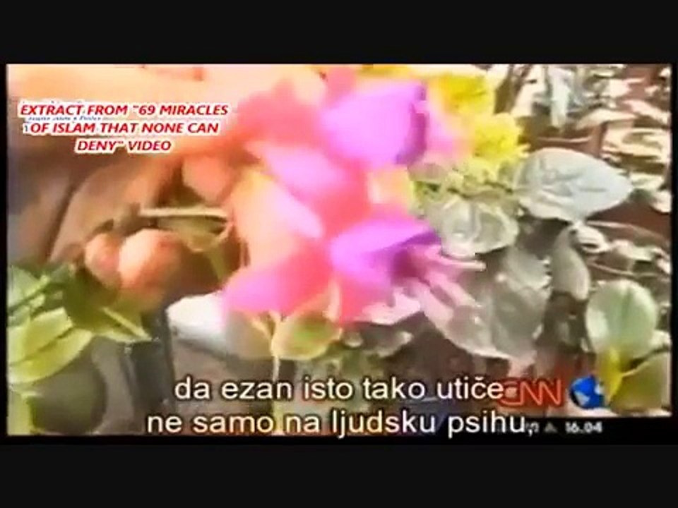 CNN report: flowers blooming when adhan
