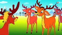 Rudolph The Red Nosed Reindeer _ christmas carols (360p)