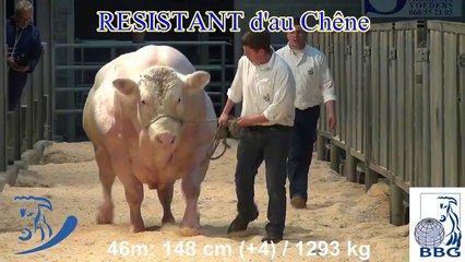 VID-20150921-WA0000.mp4