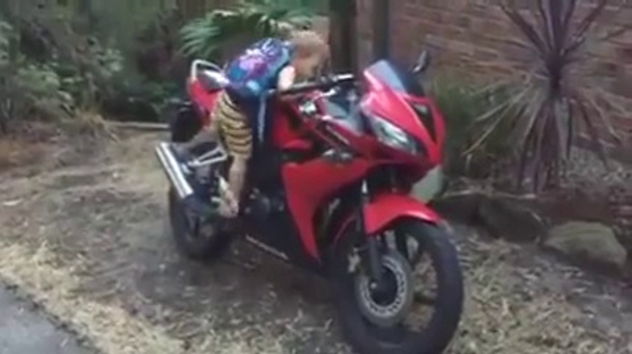 Quand bébé démarre la moto de papa