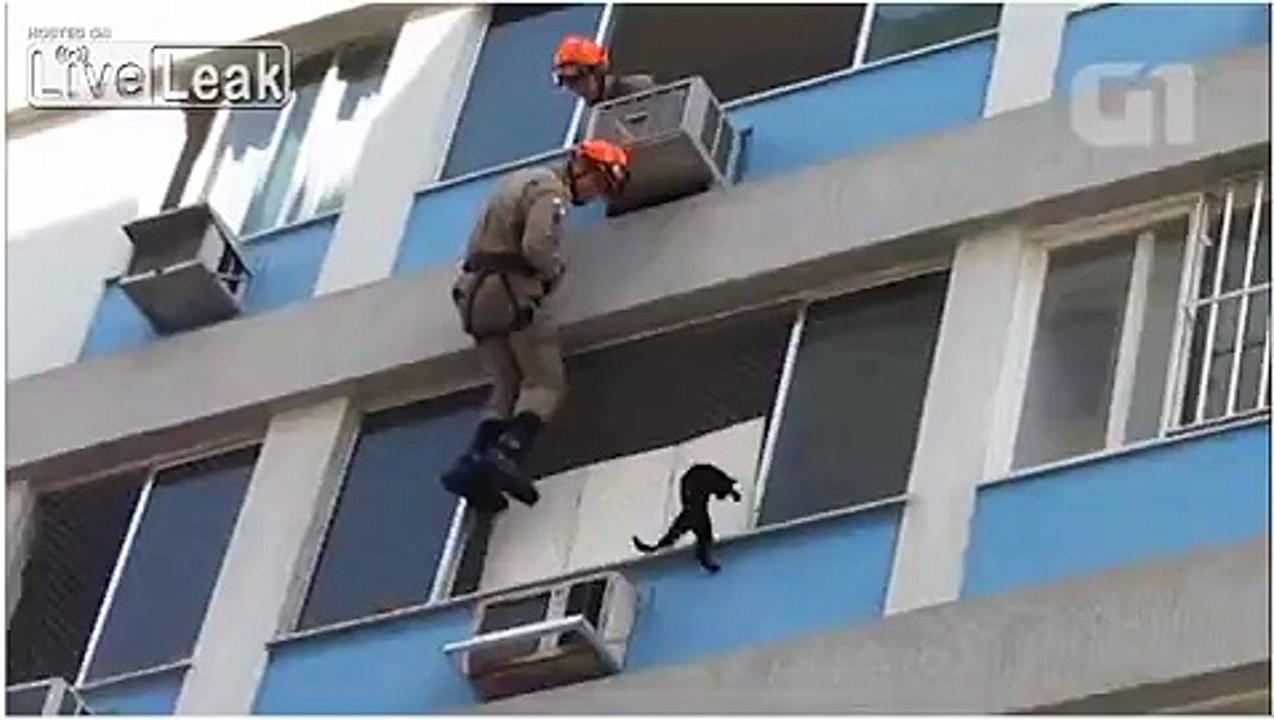 LiveLeak.com - Cat rescue goes wrong