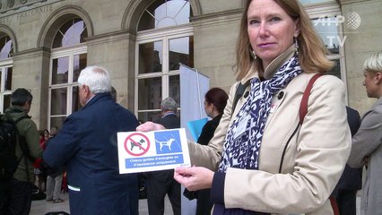 Un pictogramme pour favoriser l'accès des chiens guides