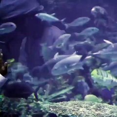 Only Posssible in dubai