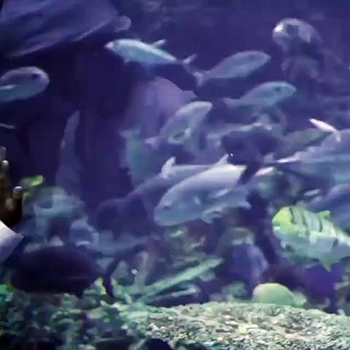 Only Posssible in dubai