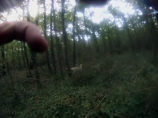 chasse au lievre daya fibi