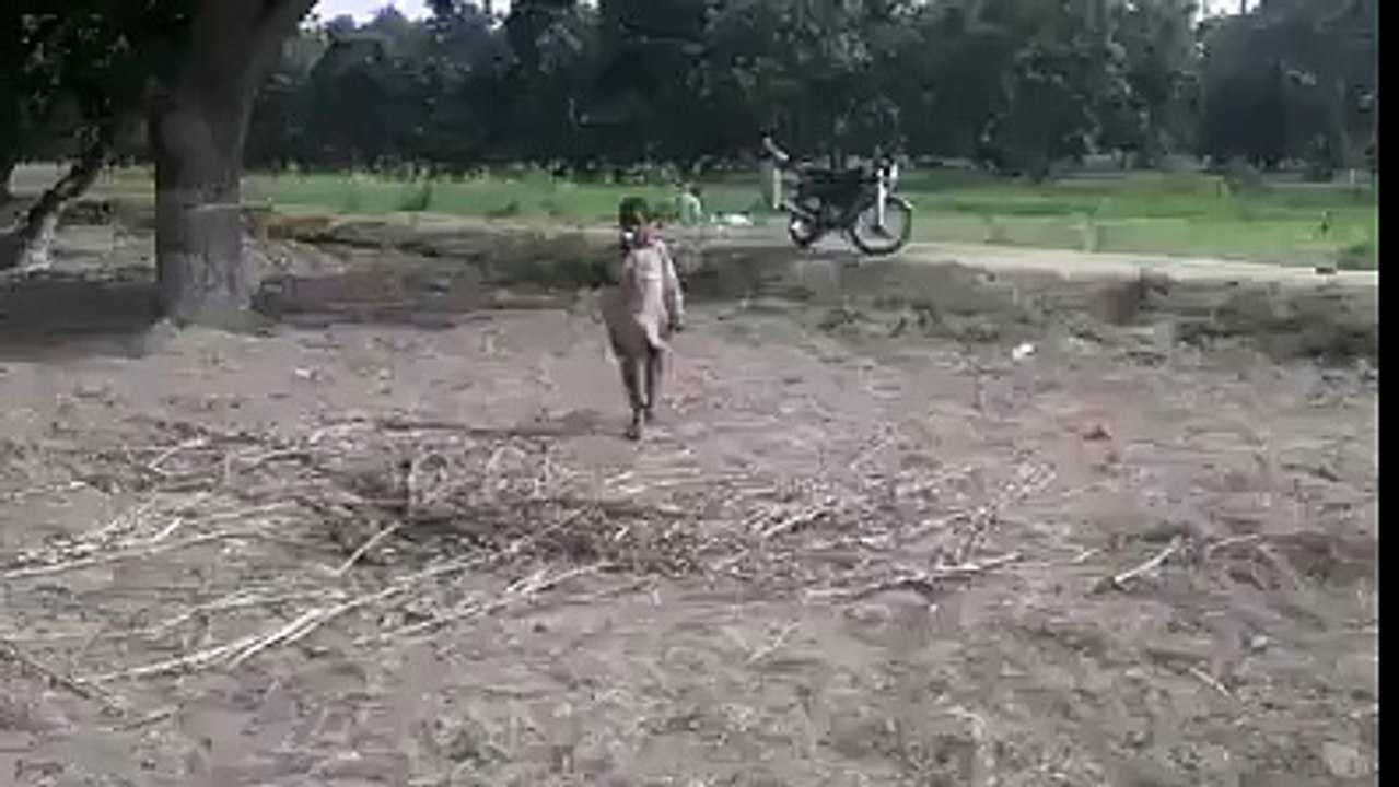 most looking funny clip