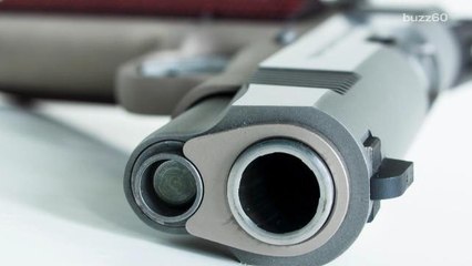 Florida man brings gun, stolen car to parole meeting