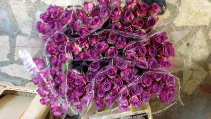 Beylerbeyi çiçek siparişi