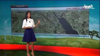 Une présentatrice météo chute en direct sur la chaîne Al-Arabiya