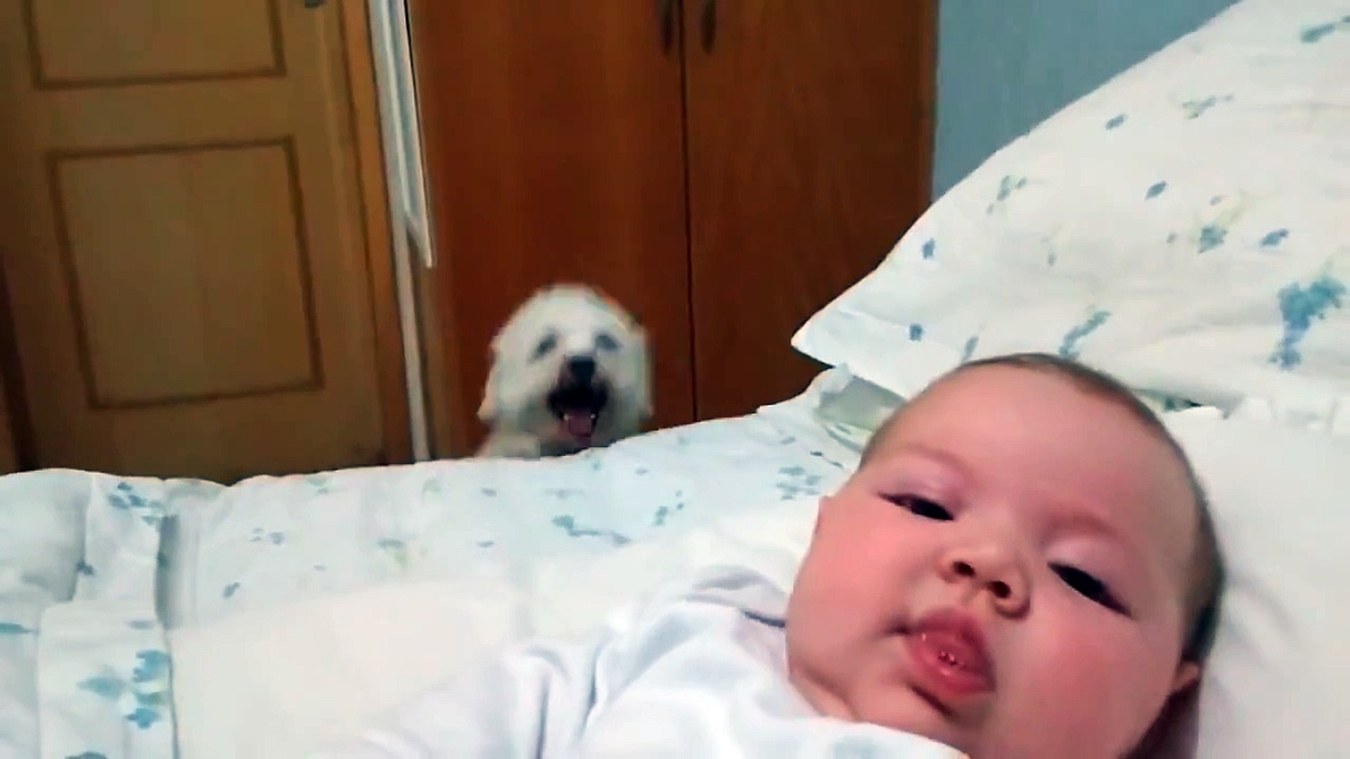 Trop Mignon Cet Adorable Chiot A Tres Envie De Voir Le Bebe De La Famille Video Dailymotion