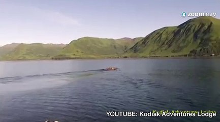 Une biche, sauvée des eaux froides