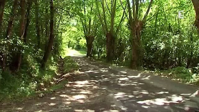 Un corps dépecé et décapité à Tarnos dans les Landes