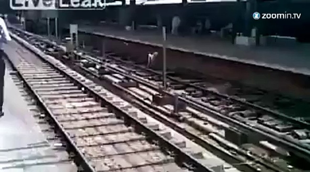 Un chien passe sous un train et survit!