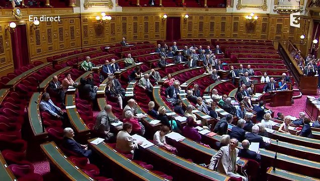Etes-vous macs ou sénateurs ? : quand les Femen font irruption au Sénat