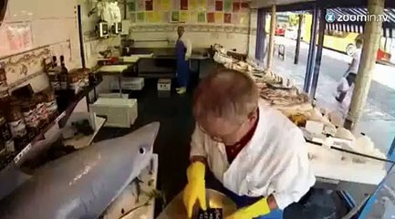 Un requin vivant dans une poissonnerie!