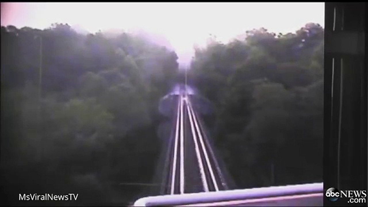 Elles survivent au passage du train en s'allongeant sur les voies !