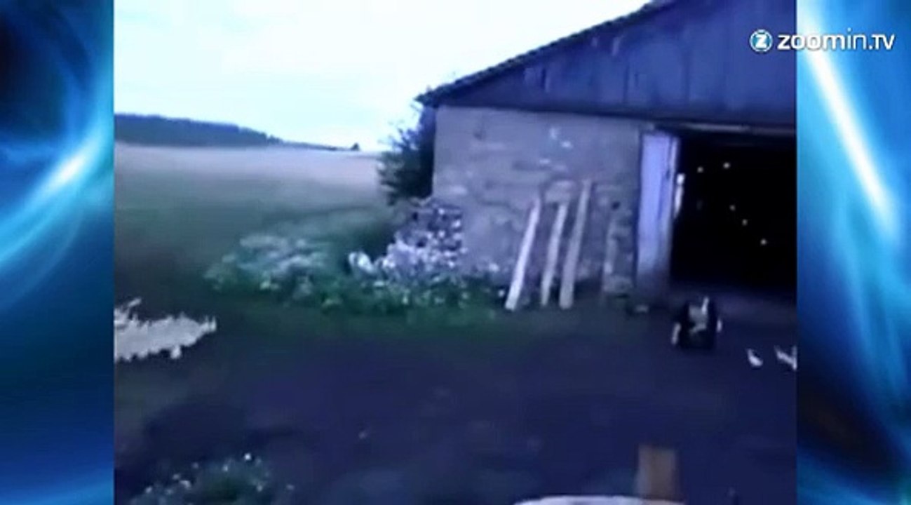 L'homme qui criait à l'oreille des canards