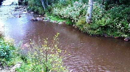 Spa-Francorchamps : un circuit de légende pour la F1