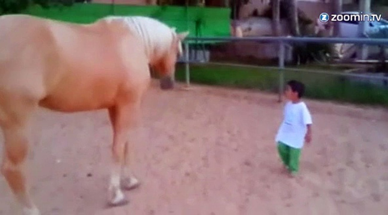 Quand un enfant handicapé fait la rencontre d'un cheval