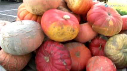 Le poids d'une citrouille géante... Qui dit mieux?