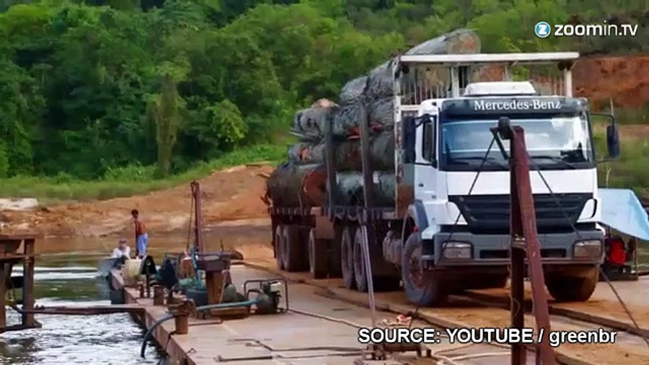 Greenpeace: des images choquantes de la déforestation