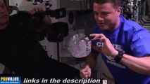 Trois astronautes jouent avec une bulle d'eau dans l'espace !