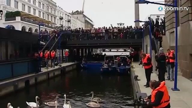 Hambourg: des dizaines de cygnes déplacés pour l'hiver