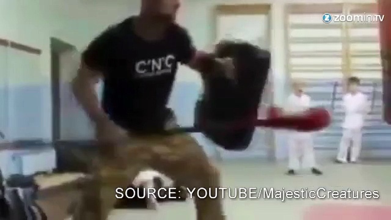 Ils jouent les Spartiates dans un gymnase!