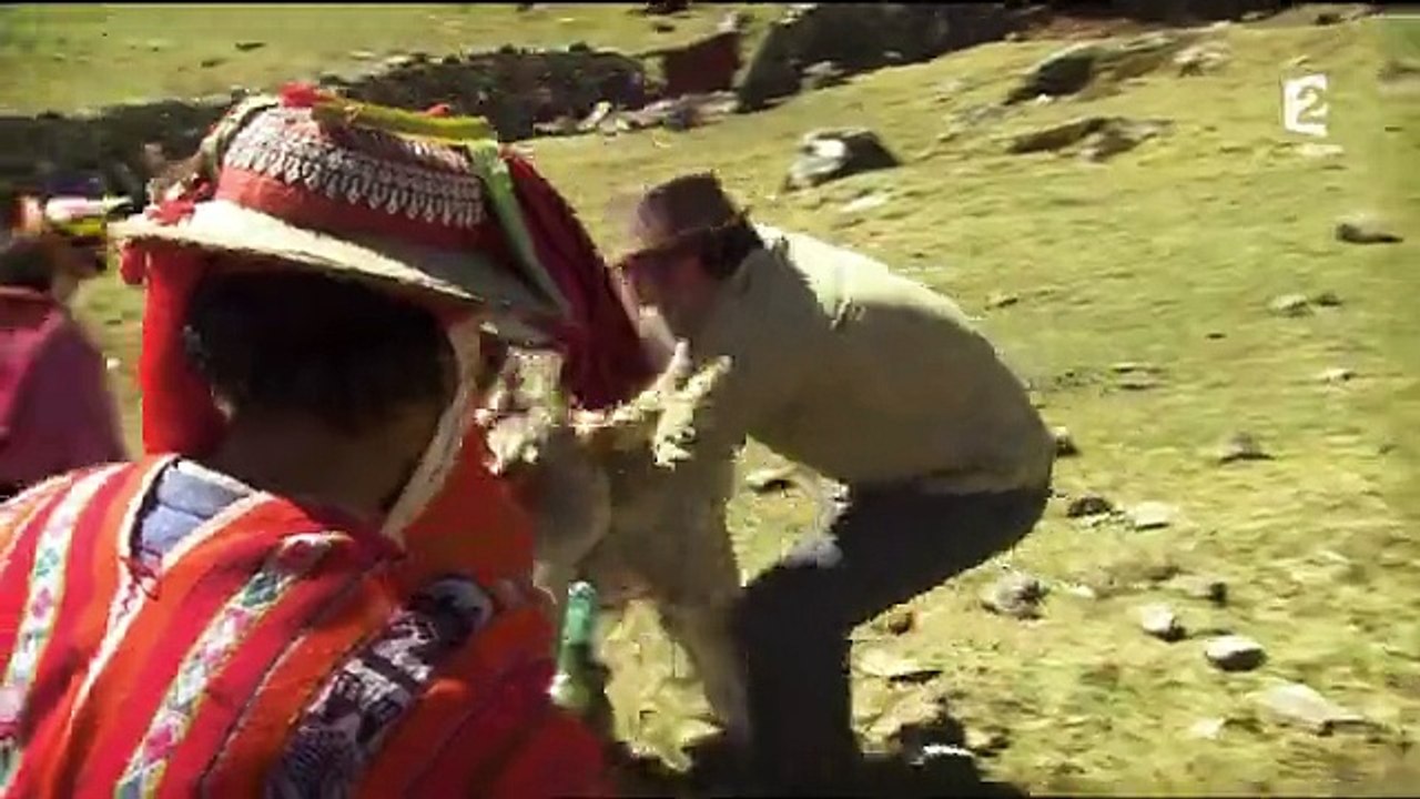 Un lama crache sur Arthur dans Rendez-vous en terre inconnue