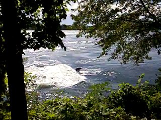 standing wave 2