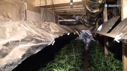 Les coffee shops ont trouvé un nouveau QG