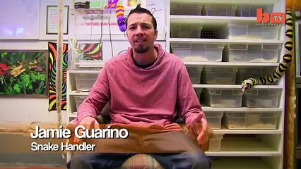 Il laisse sa fille de 14 mois jouer avec un pyhton