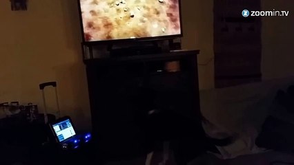 Marre de jouer avec votre toutou? On a la solution...