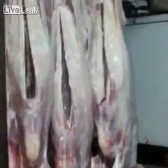LiveLeak.com - More stuffing please