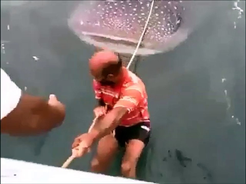 uma historia para recordar com os netos